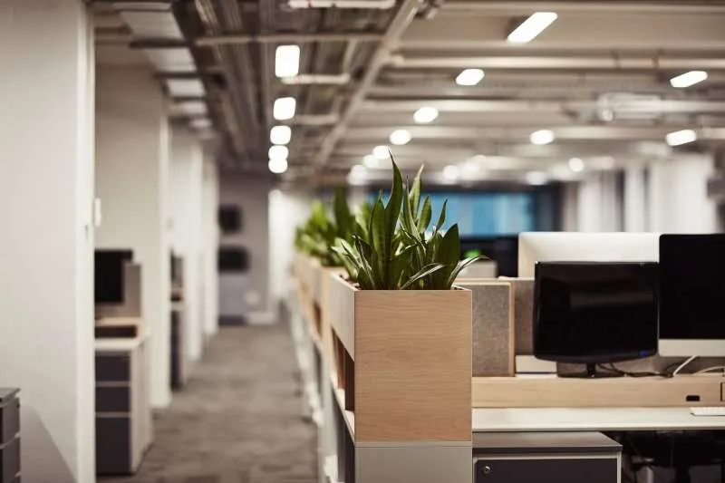 Office Cleaning